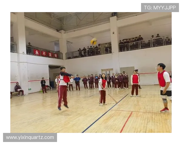 西安排球队灵活性展现杯赛表现的深度分析与点评